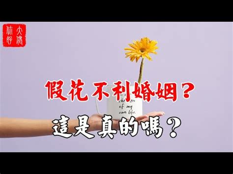 家裡可以擺假花嗎|2024年假花擺放指南